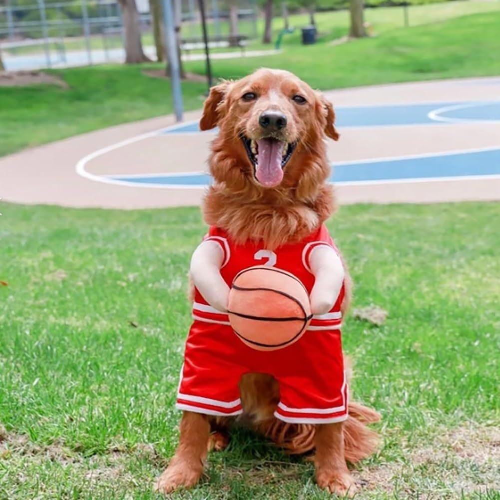Golden retriever wearing red SlamDunk dog basketball costume jersey holding a basketball on an outdoor court