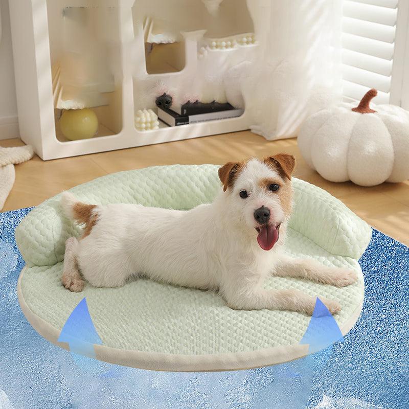 Small dog relaxing on green CoolPaws cooling mat with paw print pattern